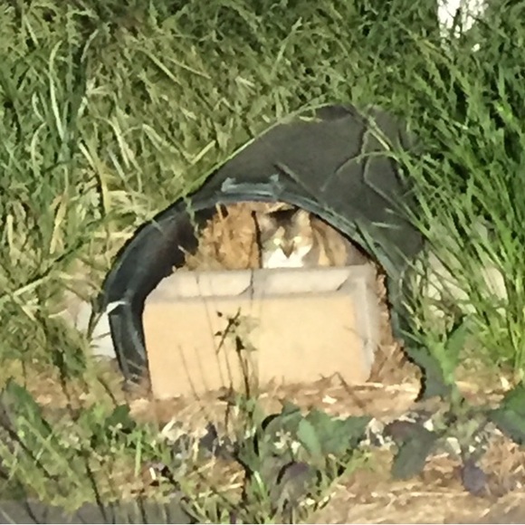 Meet your Posher, Rob - Picture 2 of 16